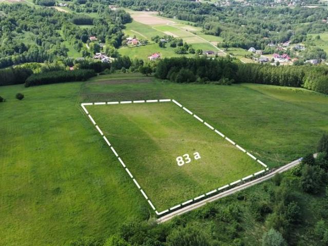 Straszydle, 8 300 m2