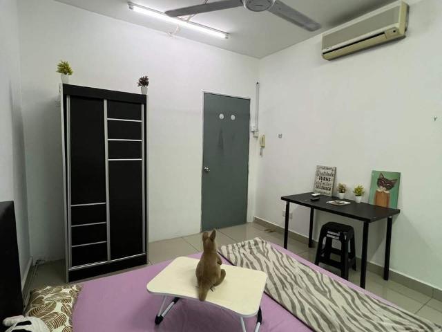 Strategic Location | Walking Distance to Shops