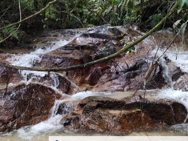Stream Agriculture Land @ Hulu Langat Selangor