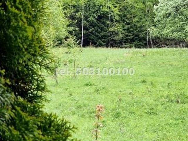 Strefa A 186 m², Krynica Zdrój