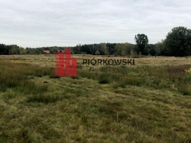 Stróżańska 3 701 m², Stanisławów Pierwszy