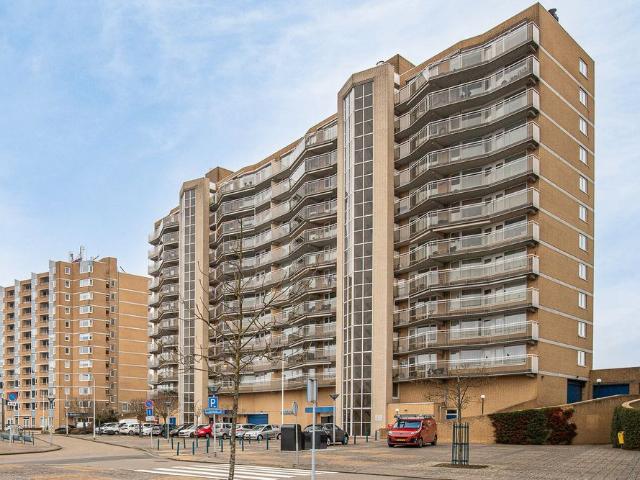Stuvesande, 344, 4532MK, Terneuzen, Zeeland 4532MK