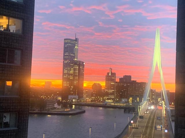 room for rent at Gedempte Zalmhaven 529, Rotterdam