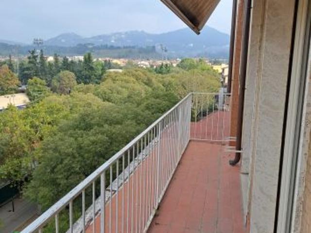 studenti universitari