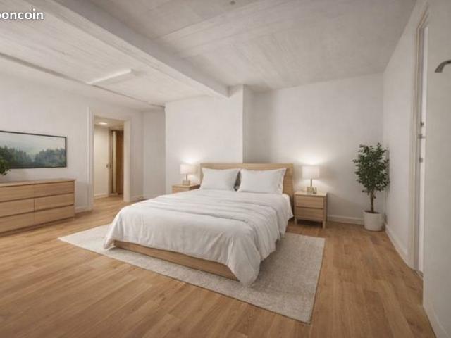 Studio 3 pièces 53 m²