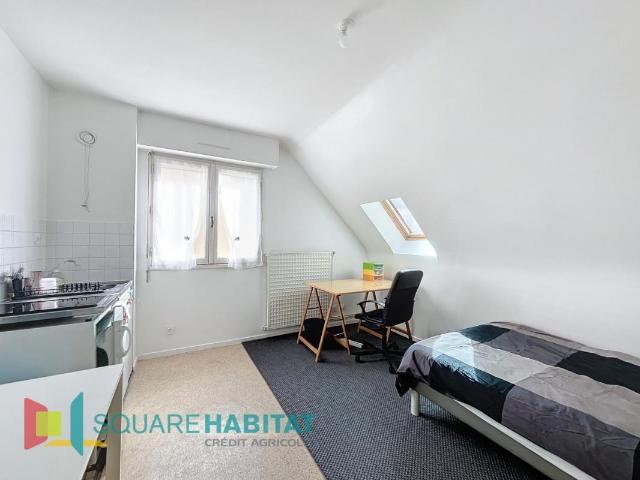 Studio 16 m²