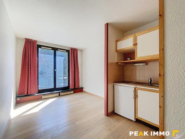Studio 17,48 m2 CHAMONIX MONT BLANC