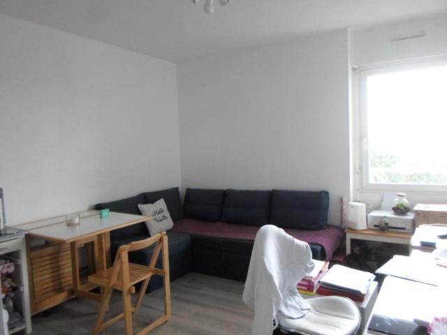 Studio 17 m²