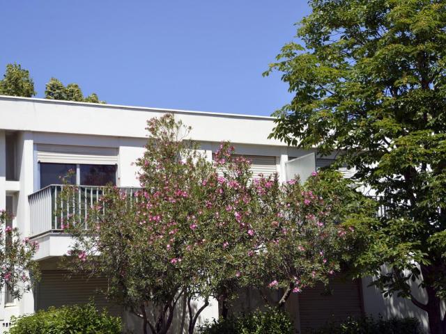 Studio 17 m²