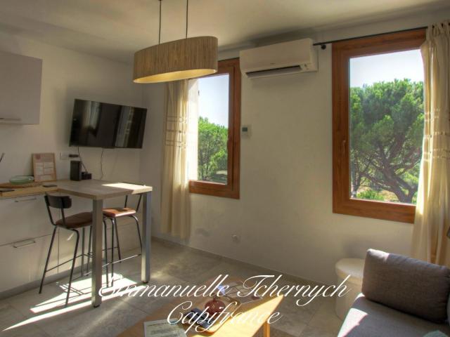 Studio 17 m²