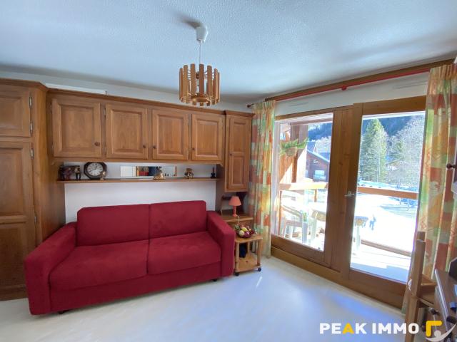 Studio 18,97m2 Les Contamines