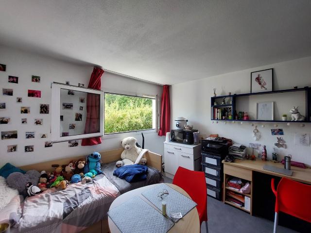Studio 18 m2 champs sur marne