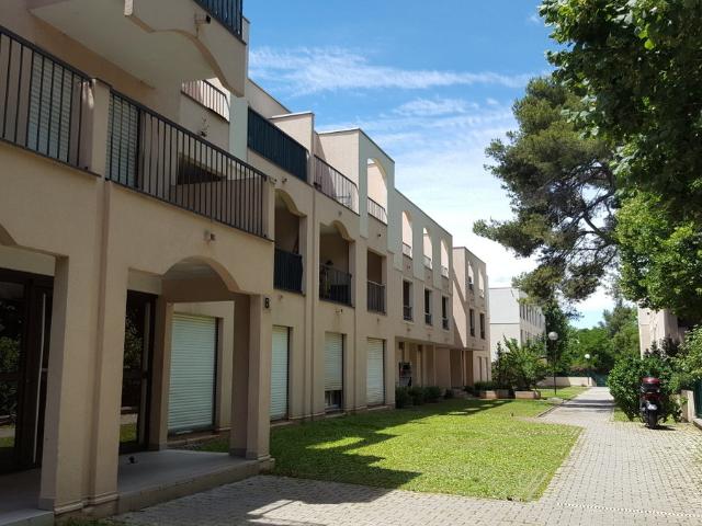 Studio 19 m²