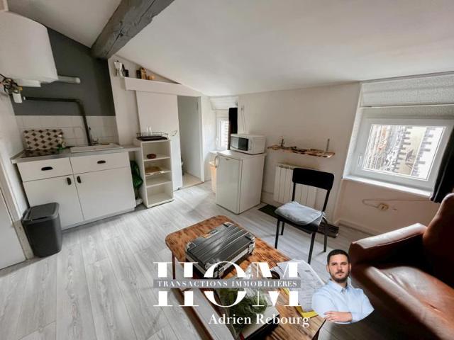 STUDIO 19m2 PLATEAU CENTRAL