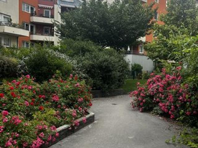 Studio 1 pièce 41 m²