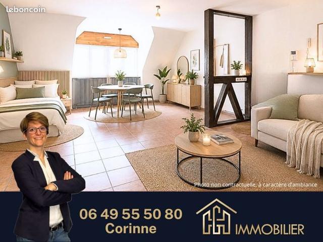 Studio 1 pièce 44 m²