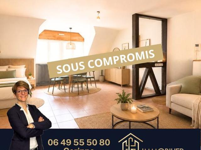 Studio 1 pièce 44 m²