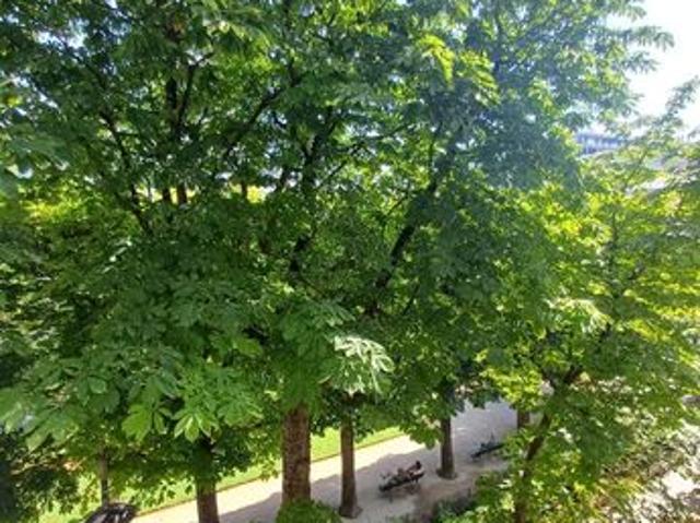 Studio 1 pièce 19 m²