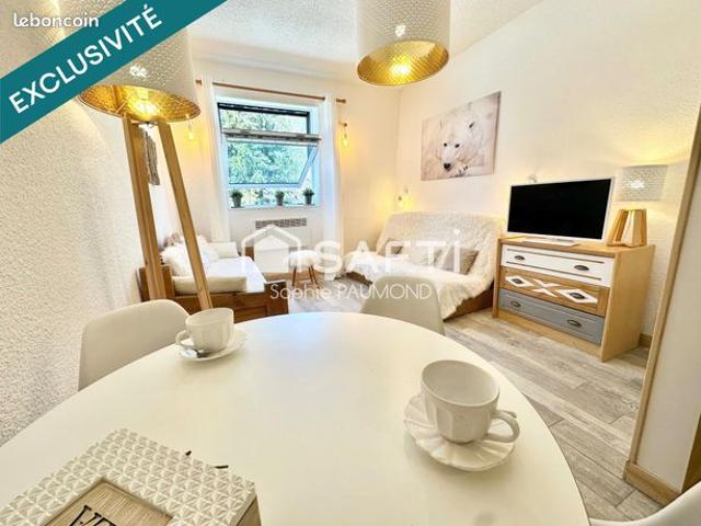 Studio 1 pièce 20 m²