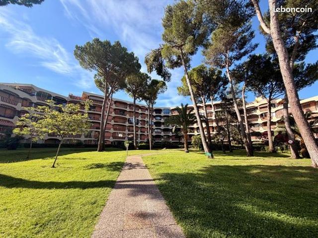 Studio 1 pièce 20 m²