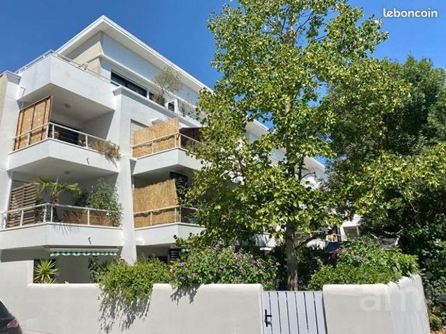 Studio 1 pièce 20 m²