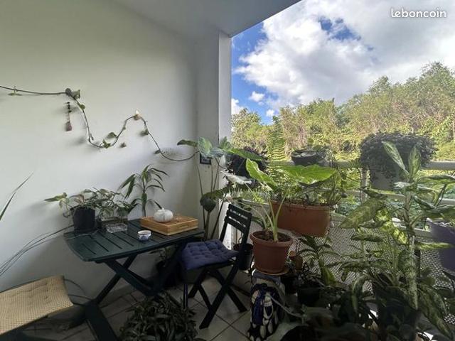 Studio 1 pièce 24 m²
