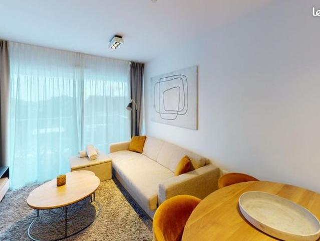 Studio 1 pièce 25 m²