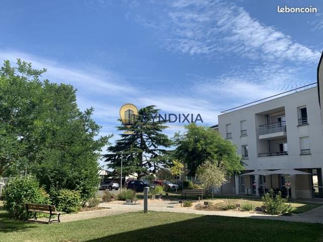 Studio 1 pièce 33 m²