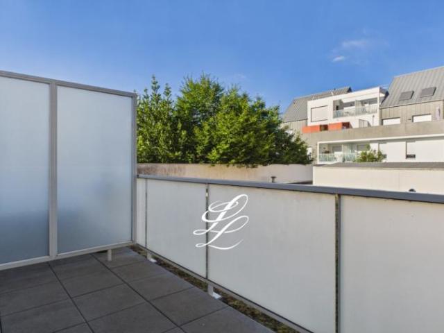 Studio 20 m²