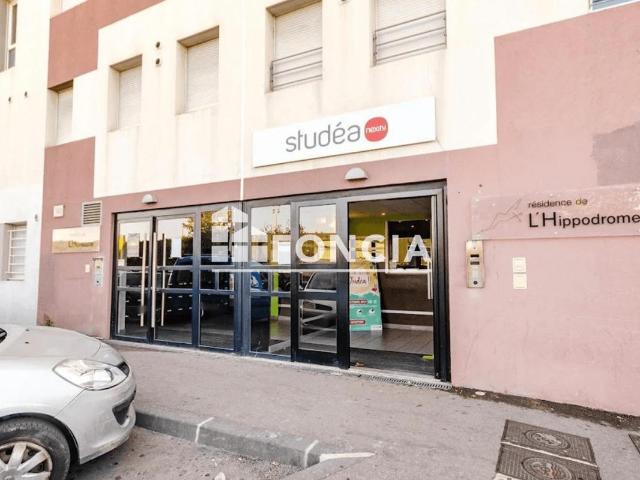 Studio 20 m²