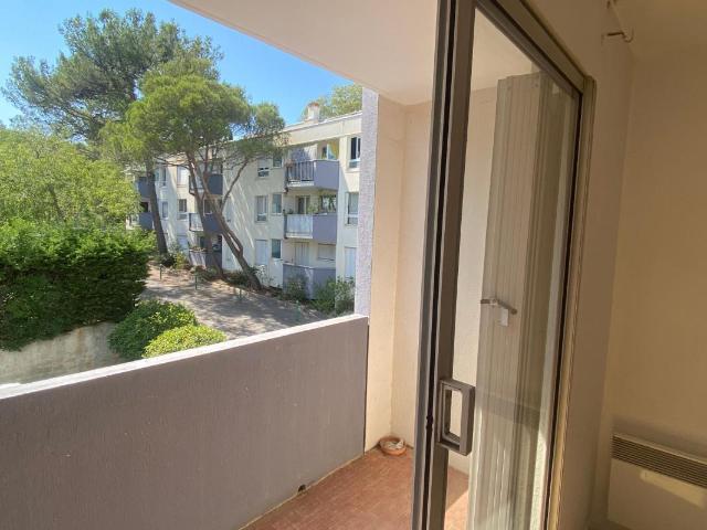 Studio 20 m²