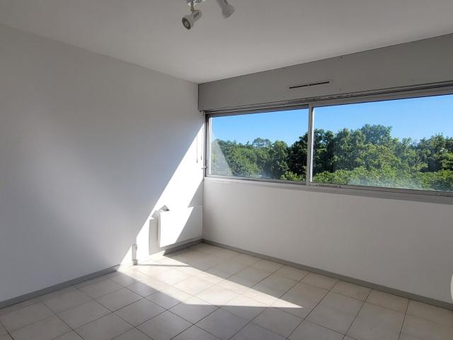 Studio 22 m²
