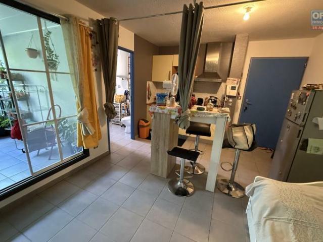 Studio 23 m²