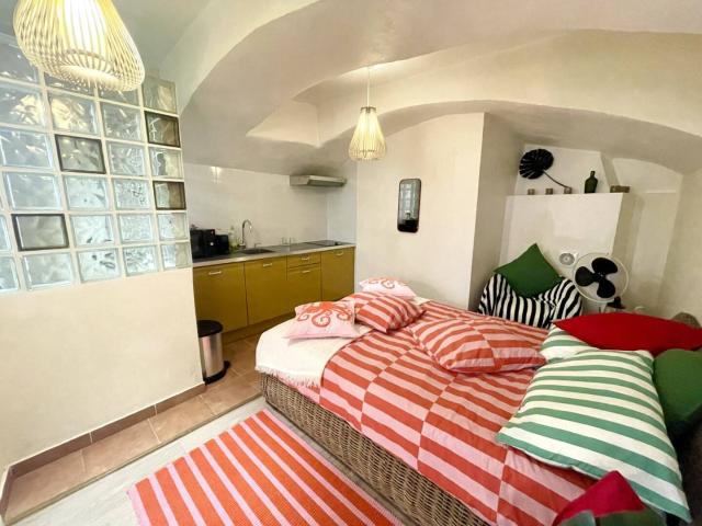 STUDIO 24 m² ROQUEBRUNE VILLAGE