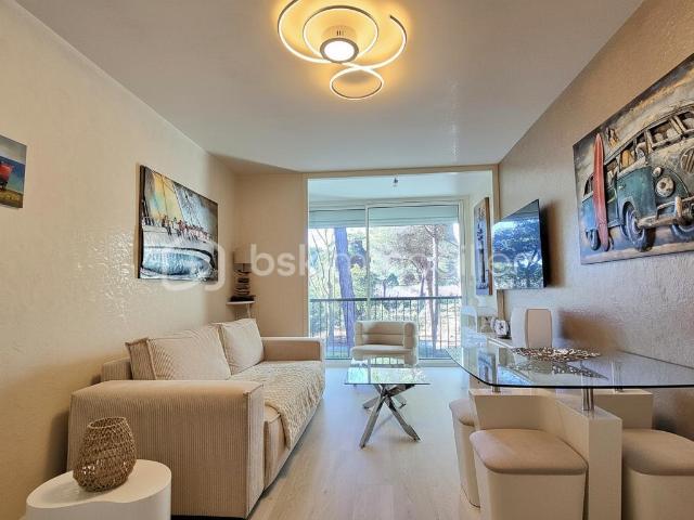 Studio 25 m²