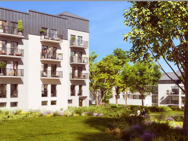 Studio 25 m²