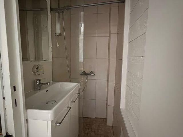 Studio 25 m² avec jardin 30 m² + mezzanine Thiais