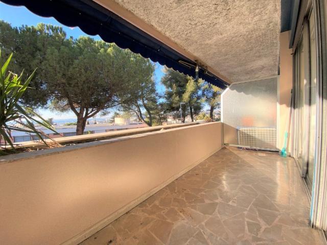 Studio 26 m²