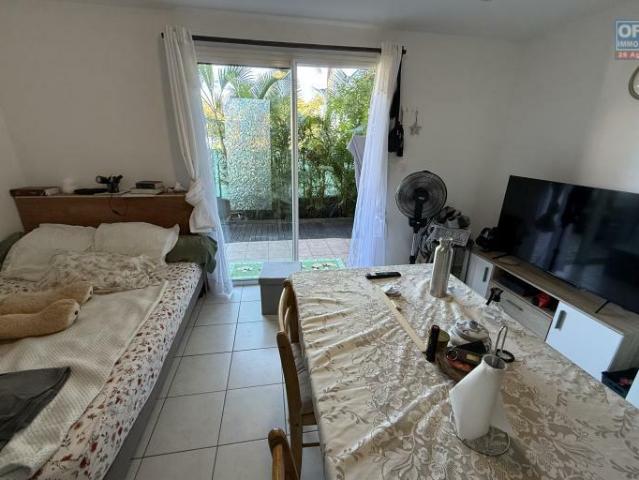 Studio 26 m²