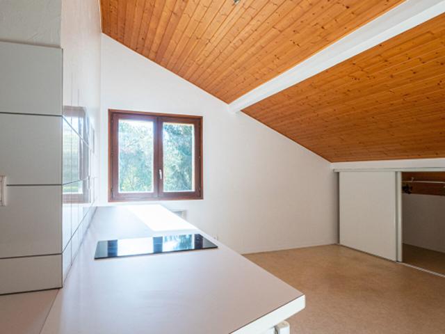 STUDIO 27.89 m² ANNECY SECTEUR SEYNOD