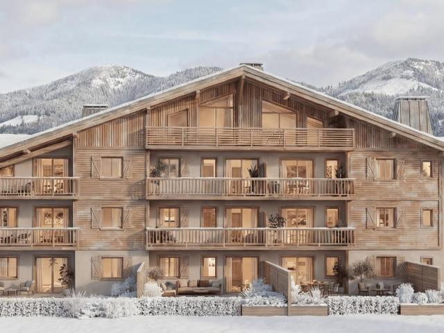 Studio 28 m2 praz sur arly