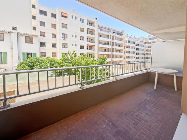 Studio 28 m²