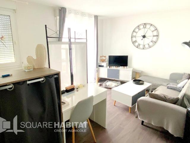 Studio 28 m²