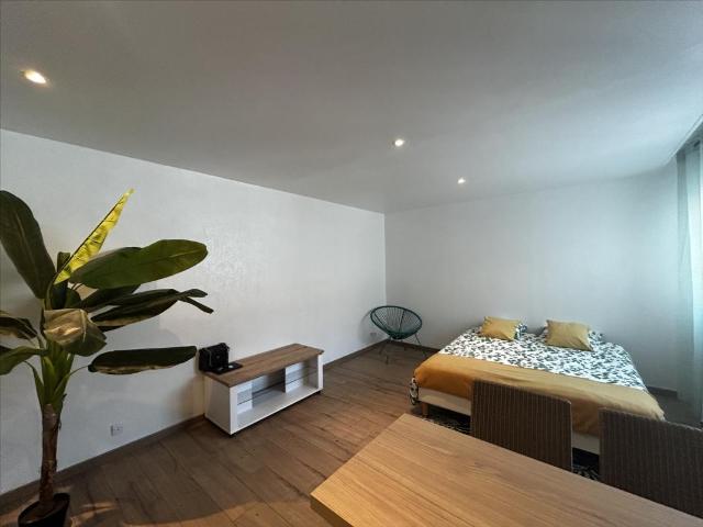 Studio 29 m²