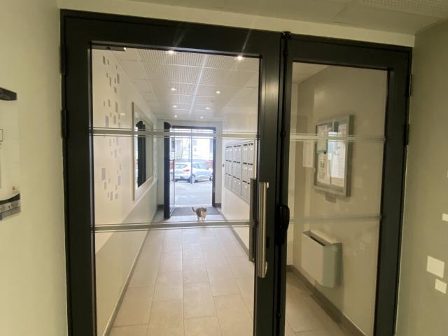 Studio 31 m²