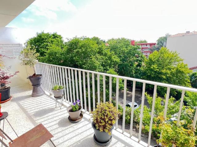 Studio 32 m²