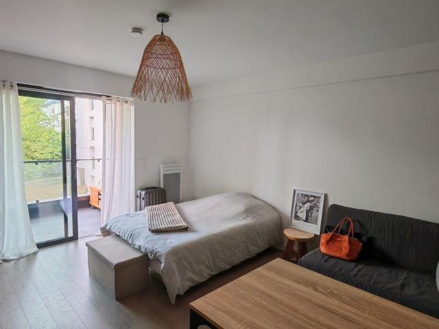 Studio 33 m²
