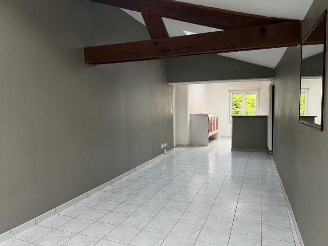 Studio 44 m²