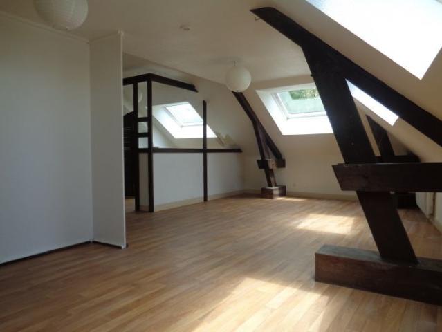 Studio 49 m²