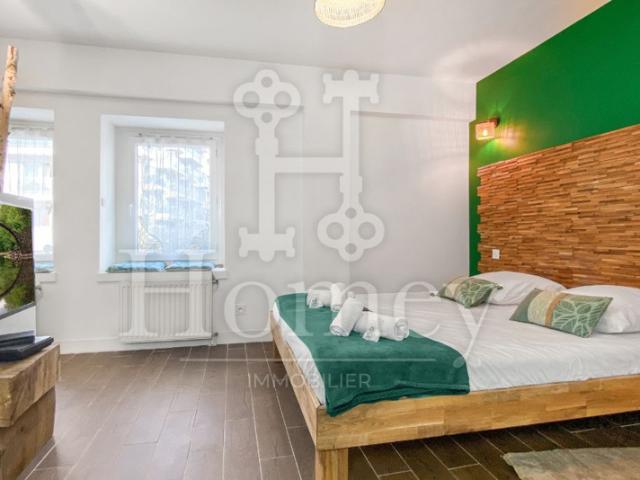 STUDIO COZY & DESIGN HYPER CENTRE ANNEMASSE RUE PIÉTONNE